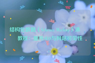 結(jié)構(gòu)化數(shù)據(jù)（Schema Markup）添加教程：提升SEO與網(wǎng)站可見(jiàn)性