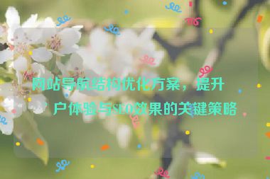 網(wǎng)站導(dǎo)航結(jié)構(gòu)優(yōu)化方案，提升用戶體驗(yàn)與SEO效果的關(guān)鍵策略