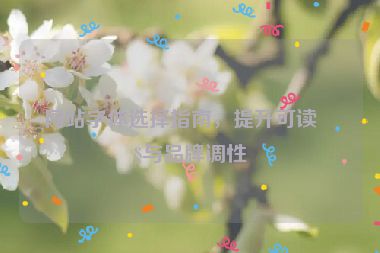 網(wǎng)站字體選擇指南，提升可讀性與品牌調(diào)性