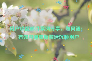 用戶喚醒郵件案例分享，如何通過(guò)有效溝通重新激活沉睡用戶