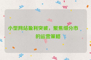 小型網(wǎng)站盈利突破，聚焦細(xì)分市場的運(yùn)營策略