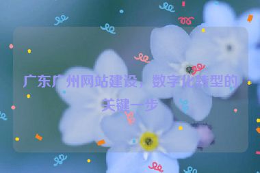 廣東廣州網(wǎng)站建設(shè)，數(shù)字化轉(zhuǎn)型的關(guān)鍵一步