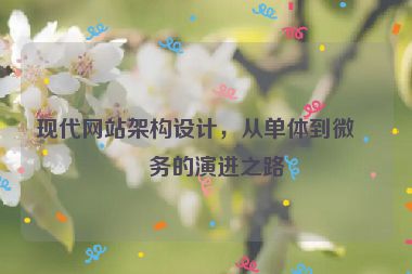 現(xiàn)代網(wǎng)站架構(gòu)設(shè)計，從單體到微服務(wù)的演進之路