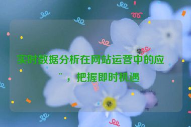實時數(shù)據(jù)分析在網(wǎng)站運營中的應用，把握即時機遇