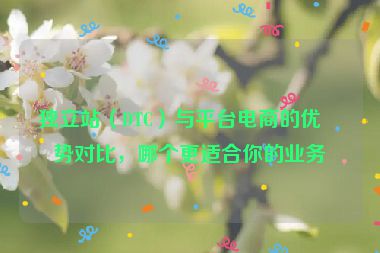 獨立站（DTC）與平臺電商的優(yōu)劣勢對比，哪個更適合你的業(yè)務？