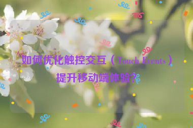 如何優(yōu)化觸控交互（Touch Events）提升移動(dòng)端體驗(yàn)？