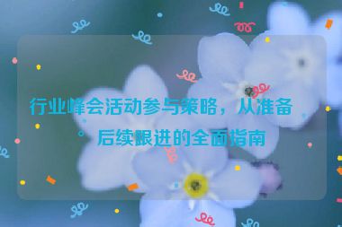行業(yè)峰會(huì)活動(dòng)參與策略，從準(zhǔn)備到后續(xù)跟進(jìn)的全面指南