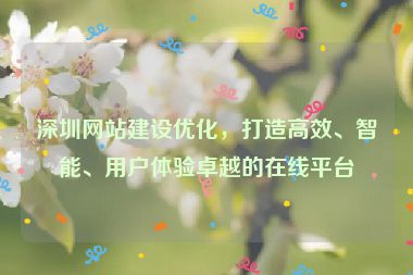 深圳網(wǎng)站建設(shè)優(yōu)化，打造高效、智能、用戶體驗(yàn)卓越的在線平臺(tái)