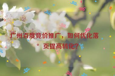 廣州百度競價推廣，如何優(yōu)化落地頁提高轉化？