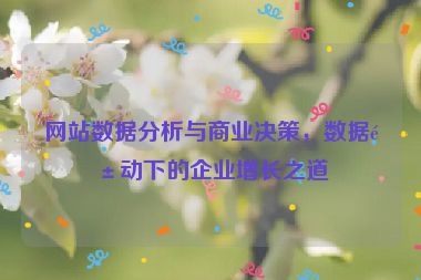 網(wǎng)站數(shù)據(jù)分析與商業(yè)決策，數(shù)據(jù)驅(qū)動下的企業(yè)增長之道