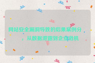 網(wǎng)站安全漏洞導(dǎo)致的后果案例分析，從數(shù)據(jù)泄露到企業(yè)危機