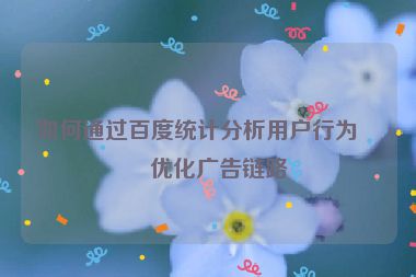 如何通過百度統(tǒng)計(jì)分析用戶行為并優(yōu)化廣告鏈路