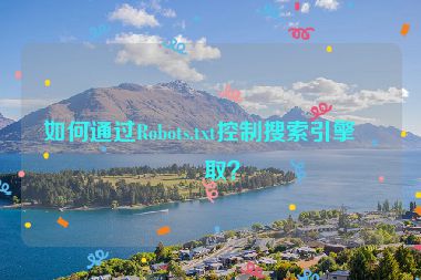 如何通過Robots.txt控制搜索引擎爬取？