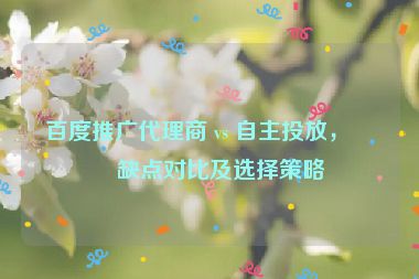 百度推廣代理商 vs 自主投放，優(yōu)缺點(diǎn)對比及選擇策略