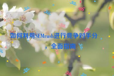 如何利用SEMrush進(jìn)行競爭對手分析，全面指南