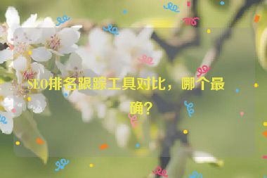 SEO排名跟蹤工具對(duì)比，哪個(gè)最準(zhǔn)確？