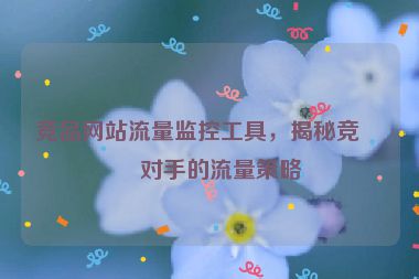 競品網(wǎng)站流量監(jiān)控工具，揭秘競爭對(duì)手的流量策略