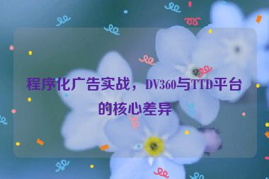 程序化廣告實(shí)戰(zhàn)，DV360與TTD平臺(tái)的核心差異