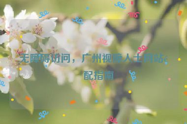 無障礙訪問，廣州視障人士網(wǎng)站適配指南
