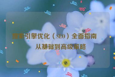 搜索引擎優(yōu)化（SEO）全面指南，從基礎(chǔ)到高級(jí)策略