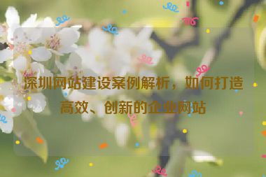 深圳網(wǎng)站建設(shè)案例解析，如何打造高效、創(chuàng)新的企業(yè)網(wǎng)站