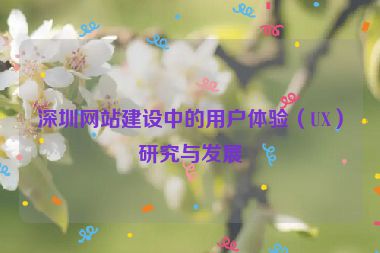 深圳網(wǎng)站建設(shè)中的用戶體驗(yàn)（UX）研究與發(fā)展