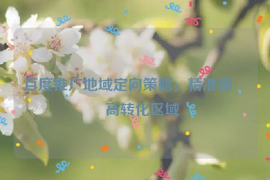 百度推廣地域定向策略，精準(zhǔn)鎖定高轉(zhuǎn)化區(qū)域