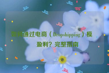 如何通過電商（Dropshipping）模式盈利？完整指南