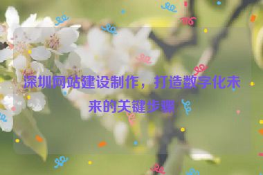 深圳網(wǎng)站建設(shè)制作，打造數(shù)字化未來的關(guān)鍵步驟