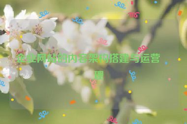企業(yè)網(wǎng)站的內(nèi)容架構(gòu)搭建與運(yùn)營管理