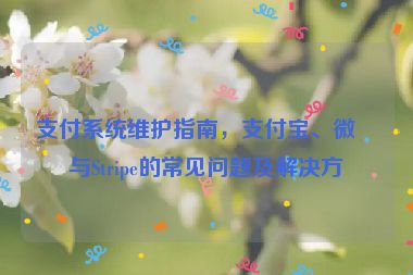 支付系統(tǒng)維護(hù)指南，支付寶、微信與Stripe的常見問題及解決方案
