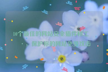 10個最佳的網(wǎng)站安全插件和工具，保護你的網(wǎng)站免受攻擊