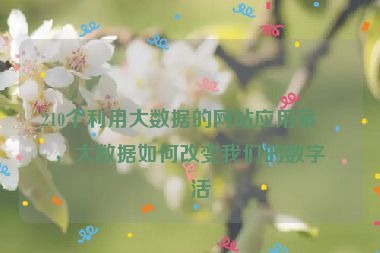 210個利用大數(shù)據(jù)的網(wǎng)站應(yīng)用案例，大數(shù)據(jù)如何改變我們的數(shù)字生活