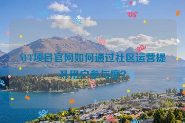 NFT項(xiàng)目官網(wǎng)如何通過社區(qū)運(yùn)營提升用戶參與度？