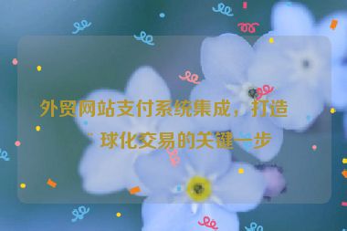 外貿(mào)網(wǎng)站支付系統(tǒng)集成，打造全球化交易的關(guān)鍵一步