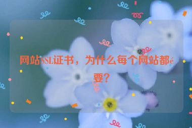 網(wǎng)站SSL證書，為什么每個(gè)網(wǎng)站都需要？