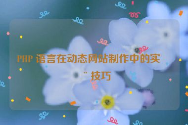 PHP 語言在動態(tài)網(wǎng)站制作中的實用技巧