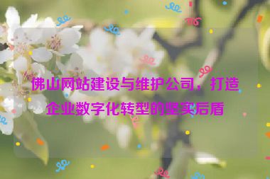 佛山網(wǎng)站建設與維護公司，打造企業(yè)數(shù)字化轉型的堅實后盾