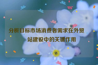 分析目標(biāo)市場(chǎng)消費(fèi)者需求在外貿(mào)網(wǎng)站建設(shè)中的關(guān)鍵作用
