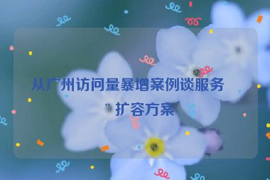 從廣州訪問(wèn)量暴增案例談服務(wù)器擴(kuò)容方案