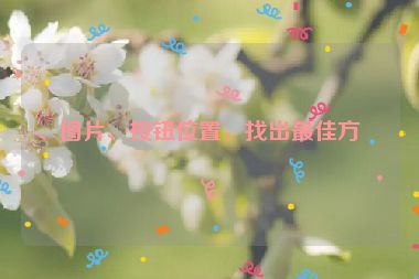 、圖片、按鈕位置，找出最佳方案