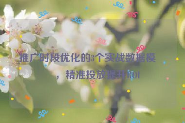 推廣時(shí)段優(yōu)化的3個(gè)實(shí)戰(zhàn)數(shù)據(jù)模型，精準(zhǔn)投放提升ROI