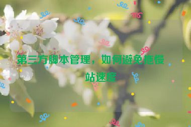 第三方腳本管理，如何避免拖慢網(wǎng)站速度