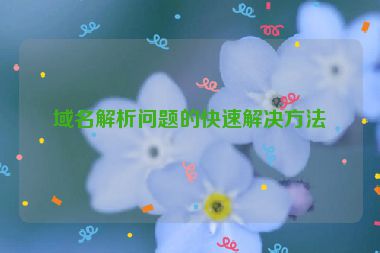 域名解析問(wèn)題的快速解決方法