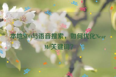 本地SEO與語(yǔ)音搜索，如何優(yōu)化Near Me關(guān)鍵詞？