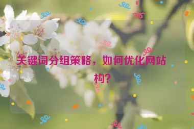 關鍵詞分組策略，如何優(yōu)化網(wǎng)站結構？
