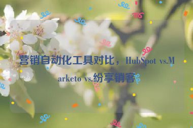 營銷自動化工具對比，HubSpot vs.Marketo vs.紛享銷客