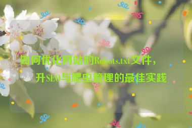 如何優(yōu)化網(wǎng)站的Robots.txt文件，提升SEO與爬蟲管理的最佳實(shí)踐