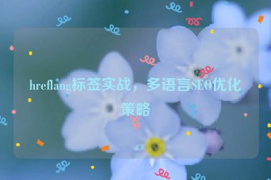 hreflang標(biāo)簽實(shí)戰(zhàn)，多語言SEO優(yōu)化策略