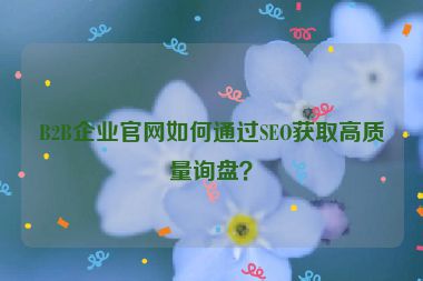 B2B企業(yè)官網(wǎng)如何通過SEO獲取高質(zhì)量詢盤？